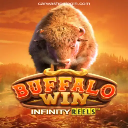 Exploring Buffalo Win on CARWASHPG.COM